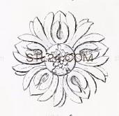 ROSETTE_1887